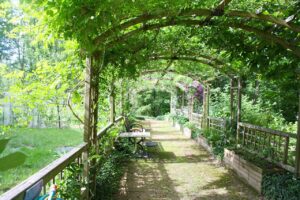 Pergola w ogrodzie